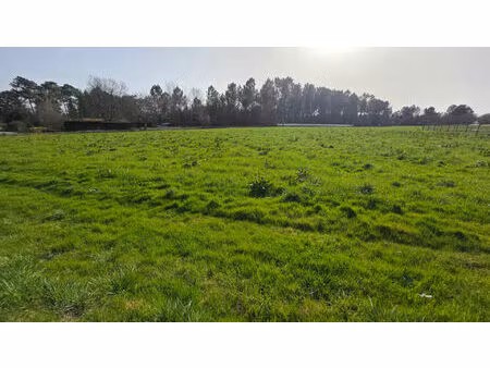 terrain constructible montrem 2711 m2