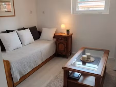 location meublée appartement 3 pièces 55 m² à richwiller (68120)  750 €