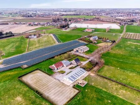 maison à vendre à lichtervelde € 1.650.000 (llt71) - cosy home | zimmo