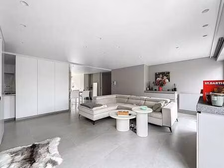 luxueux appartement de 2 chambres à louer dans le centre de