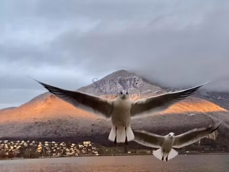 vente appartement 7 pièces