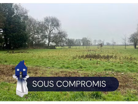 achat terrain 2 807m² ligne 44850