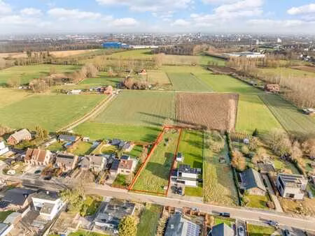 grand terrain à bâtir à sint-lambrechts-herk