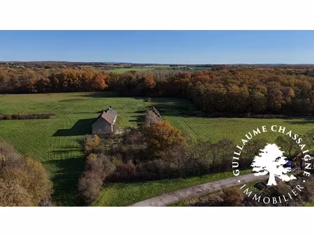 vente maison 5 pièces 280 m² à saint-eloy-de-gy (18110)  159 000 €