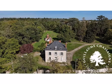 vente maison 9 pièces 261 m² à saint-florent-sur-cher (18400)  280 900 €