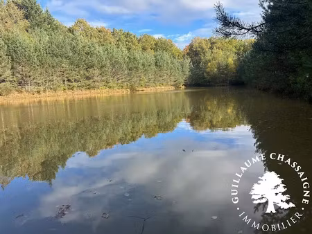 vente terrain 15870 m² à allogny (18110)  75 600 €