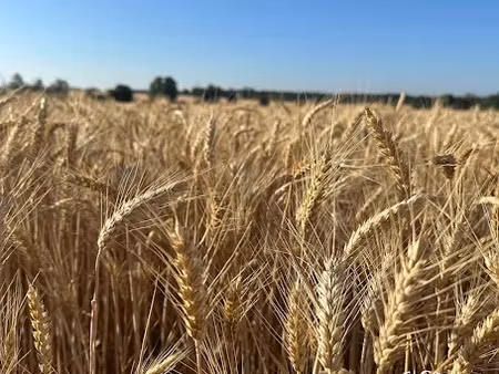 vente terrain 150000 m² à bourges (18000)  141 750 €