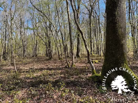 vente terrain 126780 m² à nérondes (18350)  157 500 €