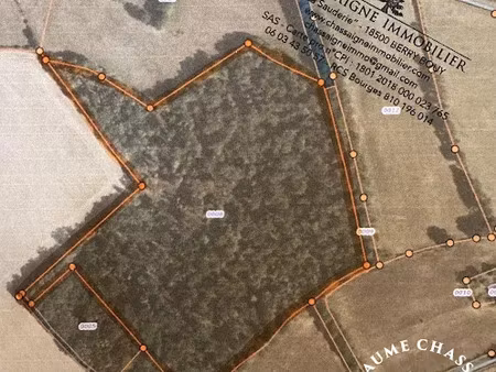 vente terrain 91647 m² à saint-amand-montrond (18200)  85 600 €