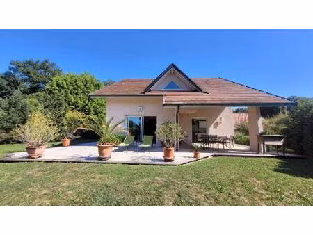 pascal immobilier