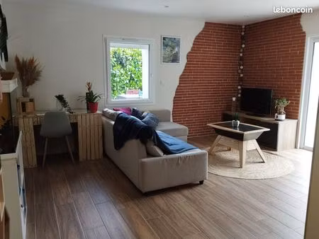 t3 centre albi à louer