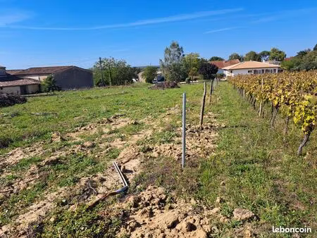 terrain agricole   jardin  animaux  potager aire de jeu