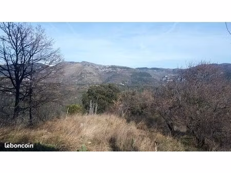 terrain 2500m² avec cabanon en pleine nature à berre-les-alpes