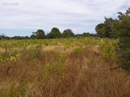 vends terrain agricole