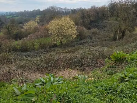 terrain de 3800m2 à défrechir