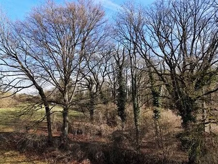 terrain à vendre à sprimont € 225.000 (lltg8) - comptoir foncier | zimmo