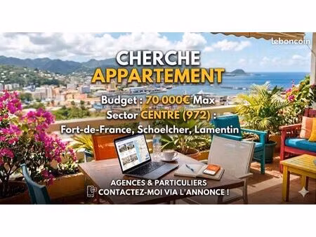 [recherche] appartement - secteur centre (fort-de-france  schoelcher  lamentin) - 70 000 m