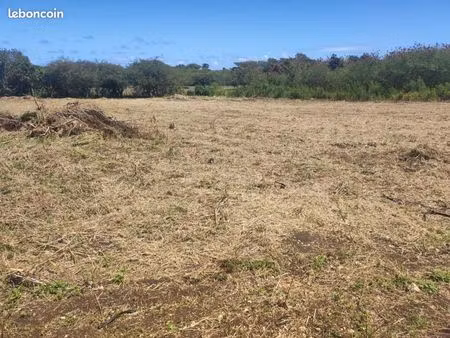 terrain 2 154 m² saint francois