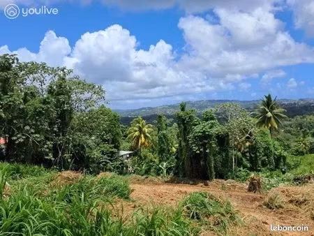 terrain 2150 m² le lamentin