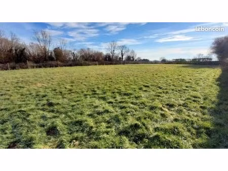 terrain constructible