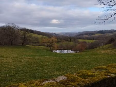 terrain à pâturer/ fenaison