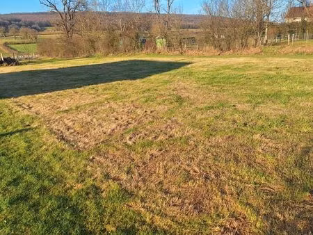 terrain constructible