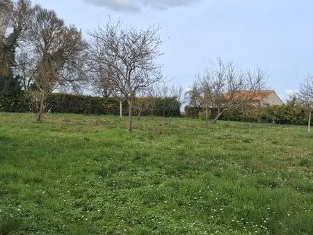 terrain constructible 1487m2