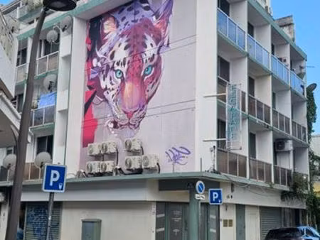 lot de 3 studios et dépendances pour investisseur