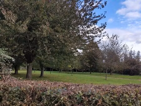 terrain constructible