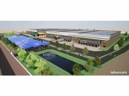 local logistique 31 245 m²