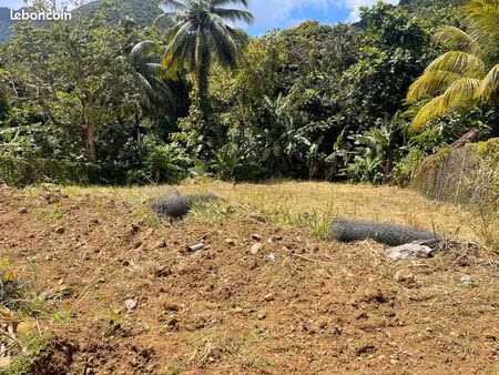 terrain gourbeyre 864m²