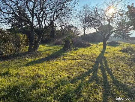 terrain constructible