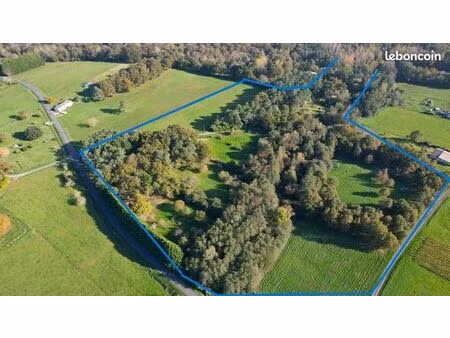 terrain agricole arboré