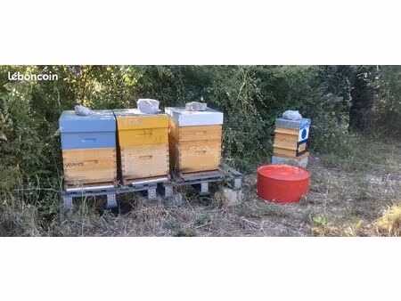 terrain agricole pollinisation garantie