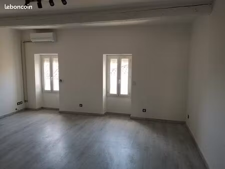 grand parrtement duplex 74 m2 climatisé