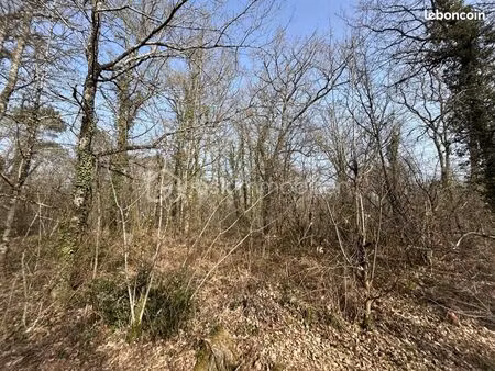 terrain 7 574 m² la clotte