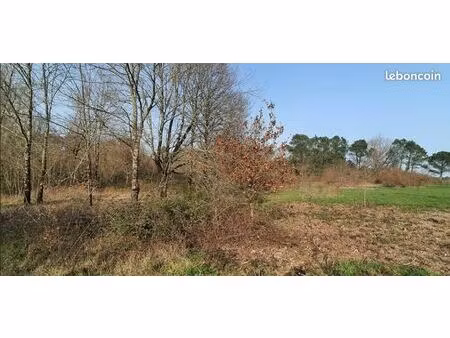 terrain 1 305 m² cercoux