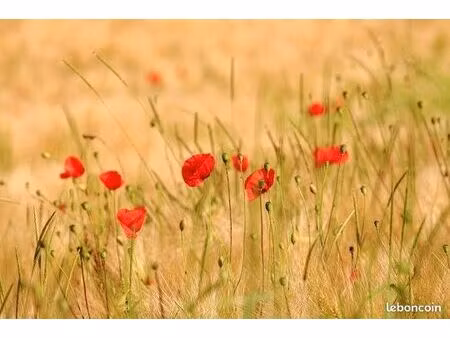 recherche terrain agricole pour projet professionnel