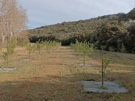 terrain agricole amandiers