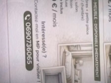 t3 plus une pièce supplémentaire