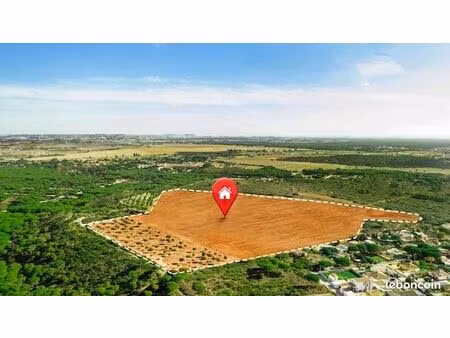 rechercher maison ou terrain