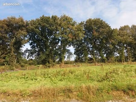 terrain 623 m² bodilis