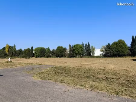 rare terrain constructible aviation nogaropark