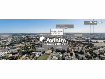 local 70 m² montpellier