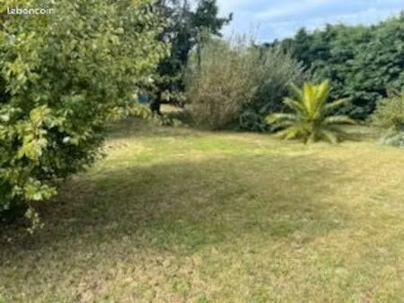 terrain constructible