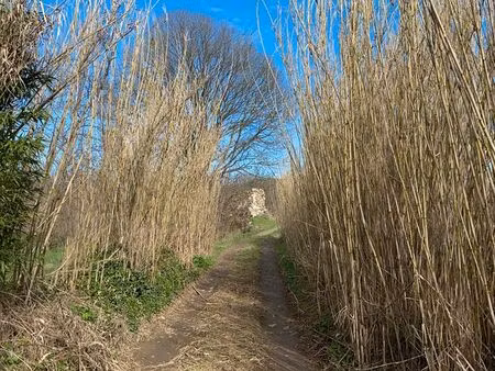 terrain non constructible