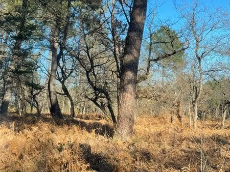 parcelles de bois et bâtiment