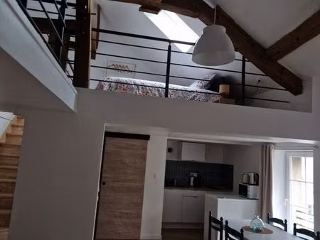 t2 meublé 50 m2 refait à neuf - centre historique - vue chateau - 650 cc