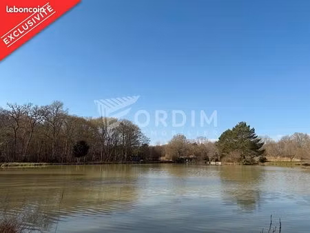 terrain 27930 m² dammarie en puisaye