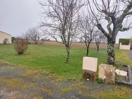 terrain viabilisé 974 m2